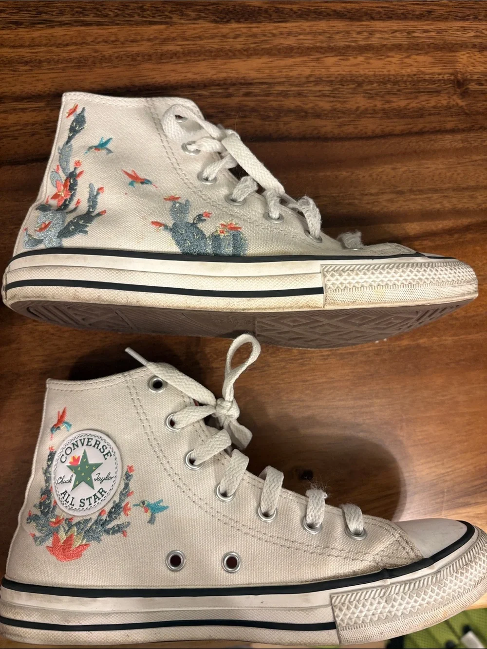 Chuck Taylor All Star Succulent Embroidery high top sneaker